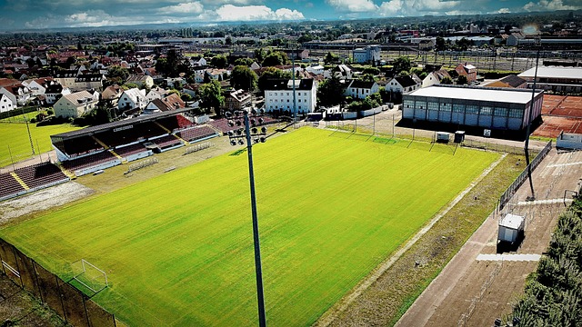 这些杰出表 这些杰出表